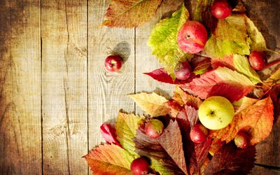 naturaleza, otoño, hojas, frutos, frutas, manzanas, junta