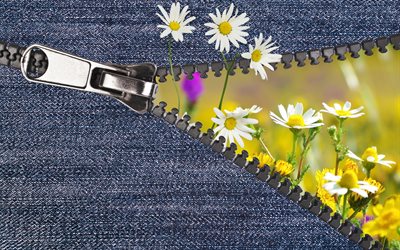 fabric, jeans, lightning, graphics, nature, summer, field, flowers, chamomile