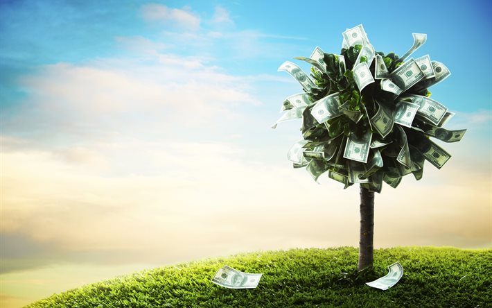 tree, grass, money, bills, dollars