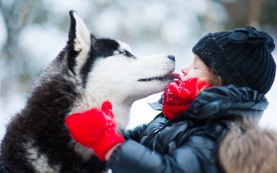 husky, vinter, hund, barn, snö, flicka, kyss