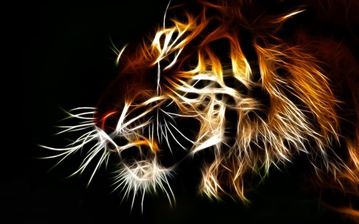 fractal, graphics, animal, predator, tiger