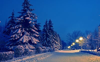 Parkı, kış, akşam, kar, manzara, yedik, sokak ışıkları droga