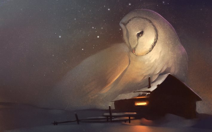 picture, winter, painting, night, the house, owl