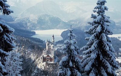 puut, vuoret, lumi, söi, talvi, maisema, saksa, neuschwanstein, linna, järvi
