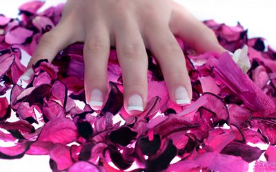 fingers, nails, manicure, hand, petals, paper, glamour