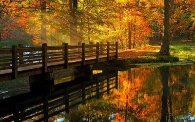 water, the bridge, trees, path, park, landscape, autumn, nature, the sun