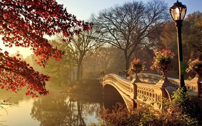 the bridge, trees, river, park, autumn, water, landscape, nature, lantern