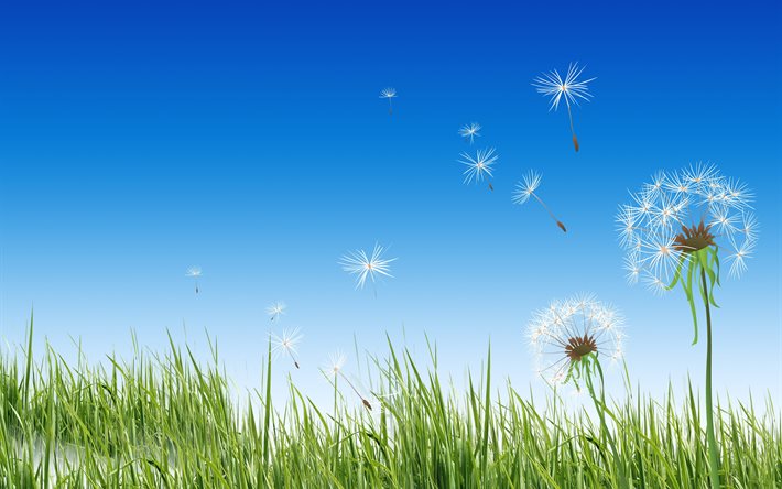 graphics, illustration, nature, grass, the sky, dandelions