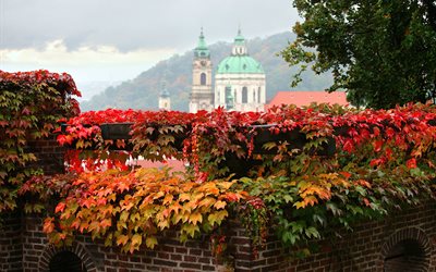 mur de, la cathédrale, le lierre, le temple, les feuilles, à prague, à l'automne, la ville, l'arbre