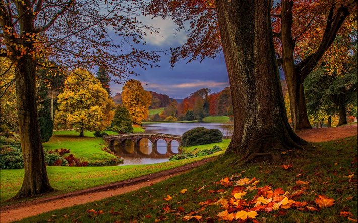 alberi, foglie, paesaggio, vicolo, parco, pista, autunno, l'acqua, la natura, il ponte
