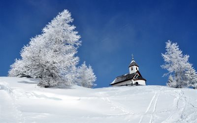 snow, the sun, winter, frost, landscape, trees, the church