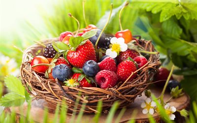 raspberry, strawberry, summer, greens, leaves, nature, stump, the nest, berries, flowers, blackberry, blueberries, cherry