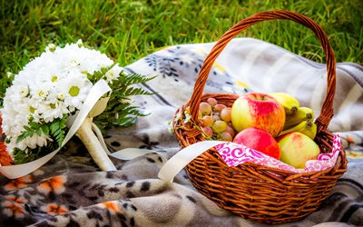 picnic, fruta, frutas, manzanas, plátanos, bayas, uvas, cesta, ramo de flores, flores, cintas, tela escocesa, de la naturaleza, de la hierba