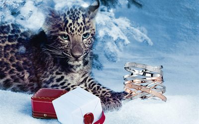 el invierno, la noche, la nieve, la moda, cartier, pulsera, decoración, árbol, año nuevo, el leopardo, el caso, cub, depredador, un animal, una cinta