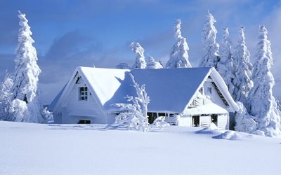 los árboles, la casa, invierno, nieve, paisaje, escarcha