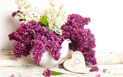 leaves, kettle, flowers, table, lilac, board, branches, heart
