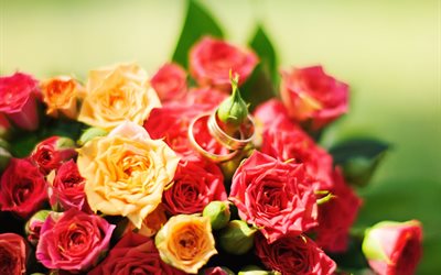 flowers, bouquet, rose, buds, ring
