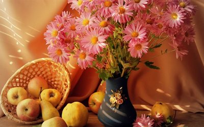 still life, vase, flowers, chrysanthemum, fruit, fruits, apples, pears, basket, fabric, curtain