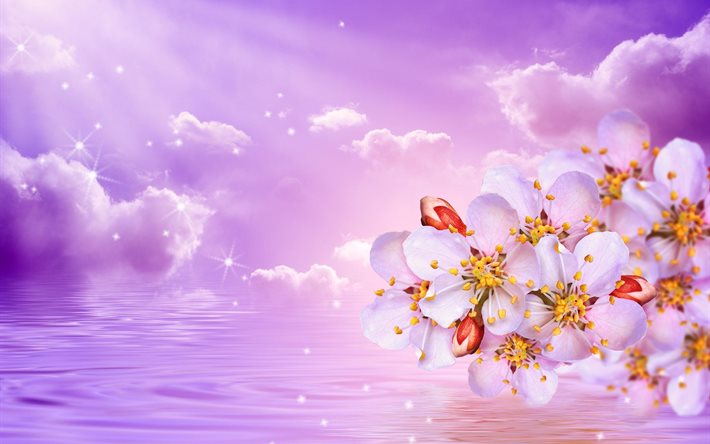 spring, flowering, branch, flowers, nature, water, the sky, clouds, sparks