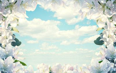 flowers, branches, spring, frame, the sky, clouds, sparks