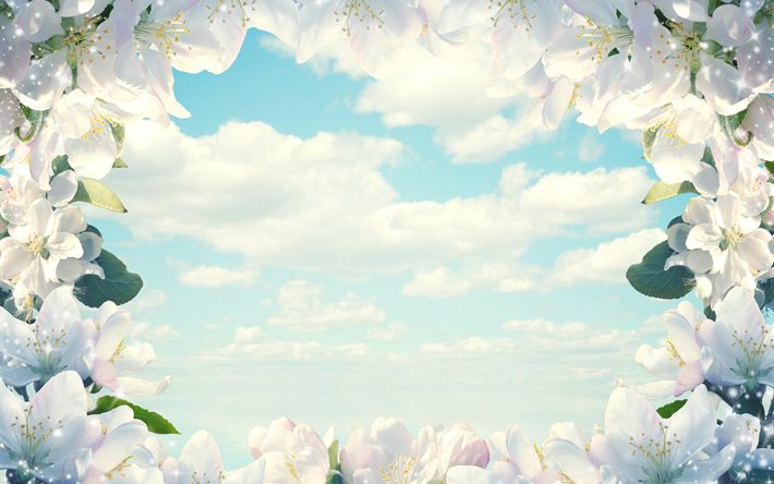 flowers, branches, spring, frame, the sky, clouds, sparks