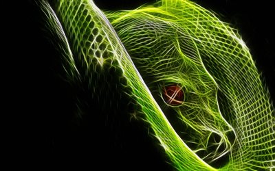 fractal, graphics, snake