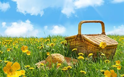 korg, hatt, gräs, blommor, fält, picknick, sommar, landskap, natur, himlen