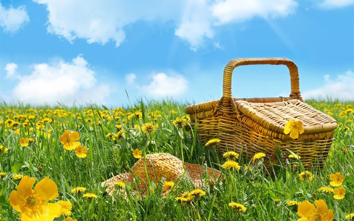 basket, hat, grass, flowers, field, picnic, summer, landscape, nature, the sky