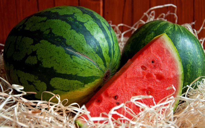 slice, fruits, watermelons, straw