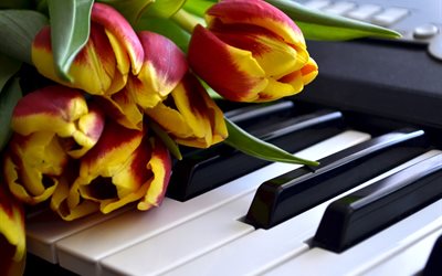 tulips, flowers, keys