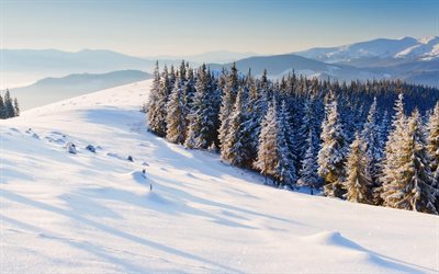 ate, trees, snow, the slope, winter, landscape, hills, nature, mountains