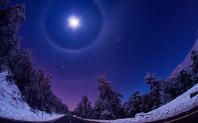 night, the moon, winter, snow, landscape, road, trees, sphere