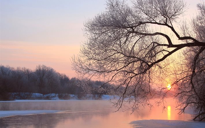 winter, snow, landscape, evening, sunset, nature, river, water, trees