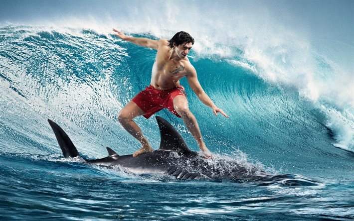el océano, el mar, el tiburón, el surf, los pantalones cortos, el agua, el hombre, de onda