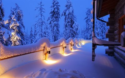 akşam, kar, ışıklar, ağaçlar, kış, ev, peyzaj, çit yedim