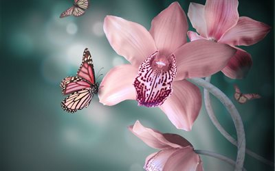 orchid, butterfly, flowers, nature