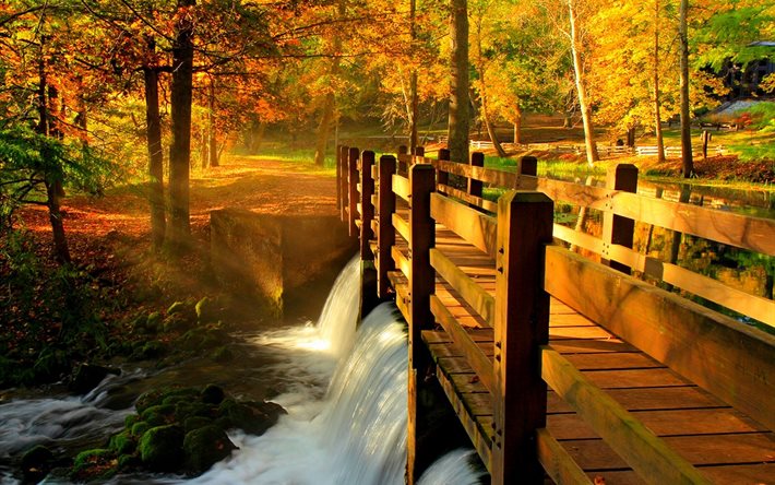park, trees, the bridge, landscape, water, autumn, river, nature, waterfall, the sun