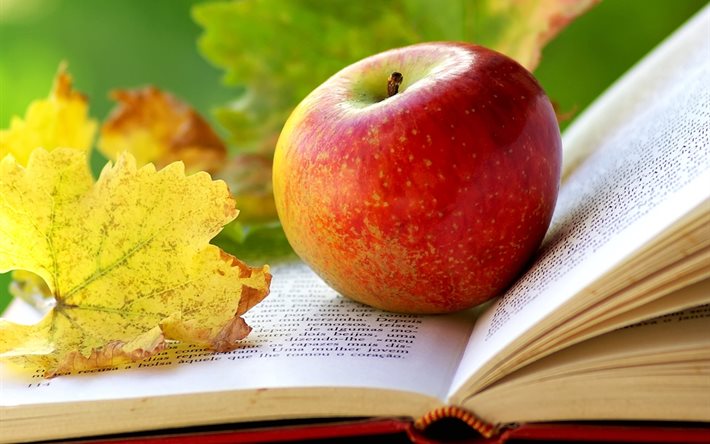 el otoño, la naturaleza, la manzana, la fruta, el libro, las hojas