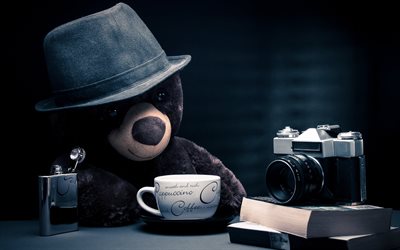 bear, hat, toy, cup, jar, books, the camera