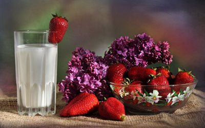flowers, lilac, branches, milk, glass, strawberry, burlap, berries, bowl, food, still life, fabric