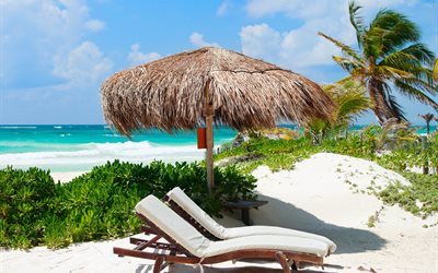 the ocean, the caribbean, water, shore, the beach, landscape, sand, vegetation, palm trees, nature, sunbeds, pair, umbrella