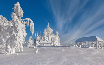 templet, trädet, snön, vintern, landskapet, naturen, klocktornet
