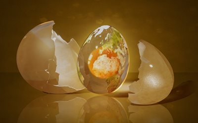the shell, egg, protein, 3d graphics, the yolk, reflection