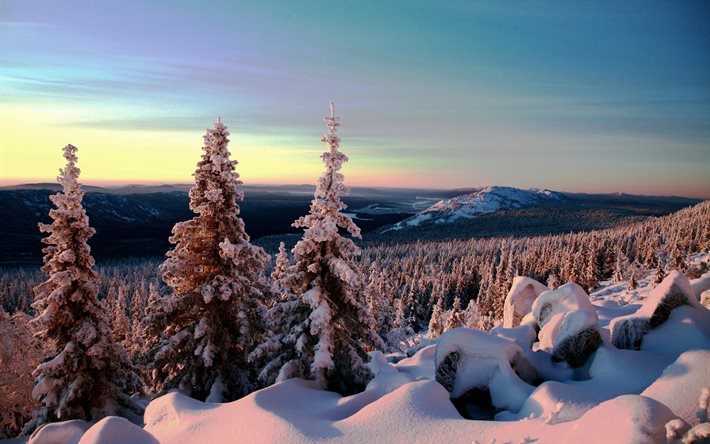風景, 食べ, 山々, 雪, 冬, 漂う