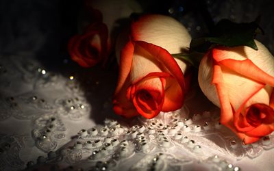 rose, decoration, flowers, rhinestones