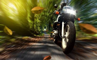leaves, speed, road, motorcyclist, motorcycle, autumn