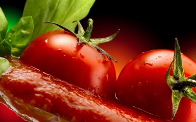 los tomates, la comida, verduras de hoja verde, las hojas de albahaca, salsa de tomate