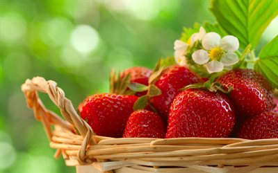 basket, berries, summer, strawberry, nature, leaves, flowers