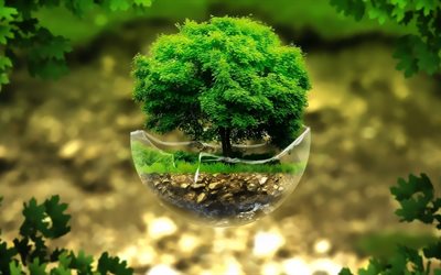 bonsai -, 3d -, baum -, rendering -, ökologie