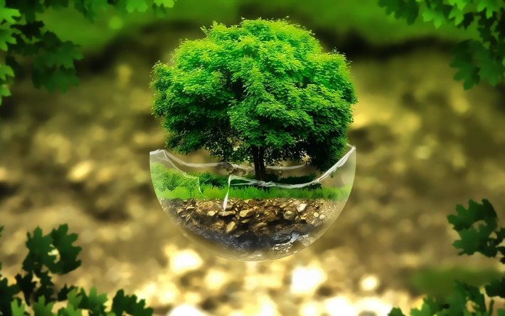 bonsai, árvore 3d, renderização, ecologia